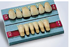 Choose from a few different natural looking colors for your dentures Natural denture color choices